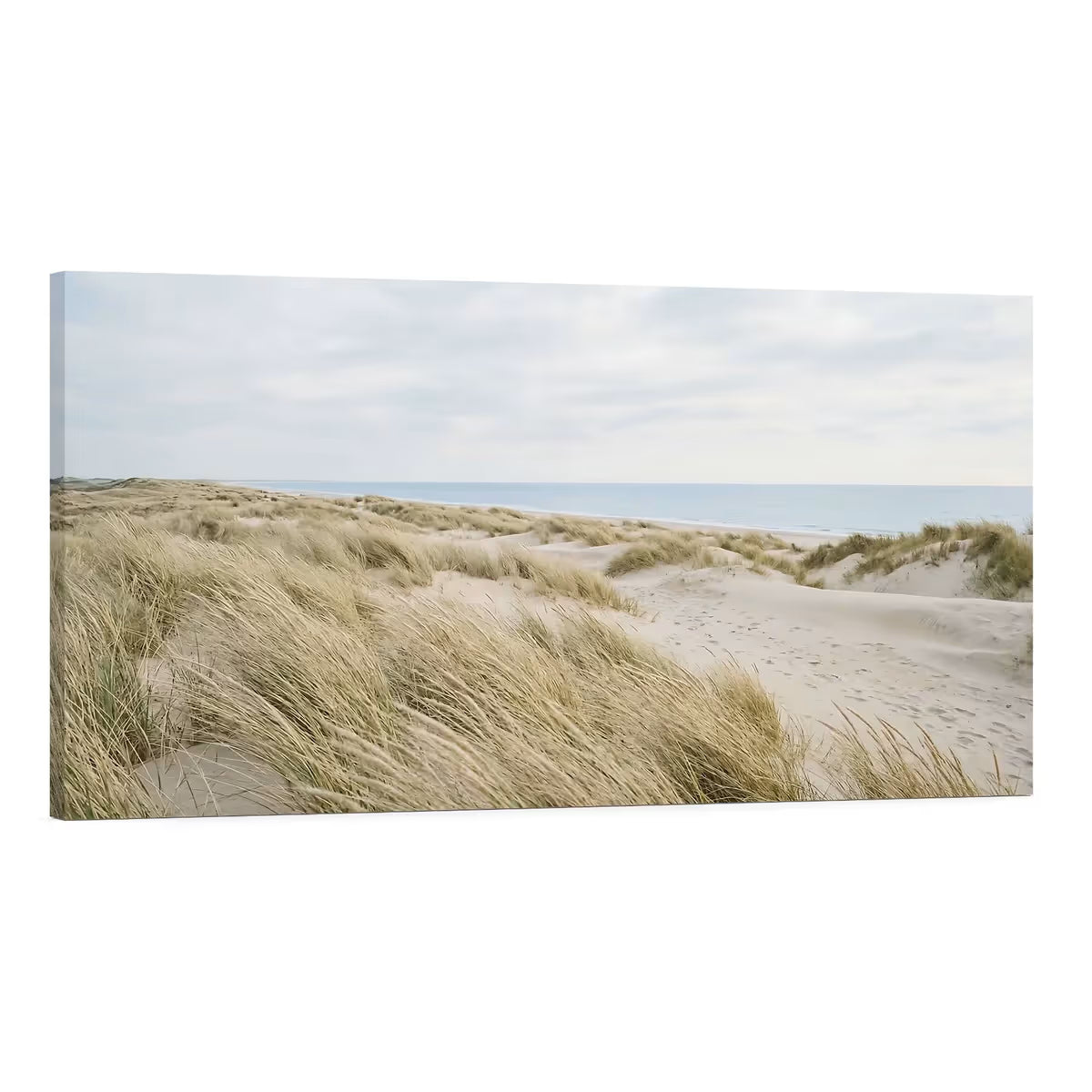 Beach Grass Landscape Canvas Wall Art Coastal Nature Decor Main image