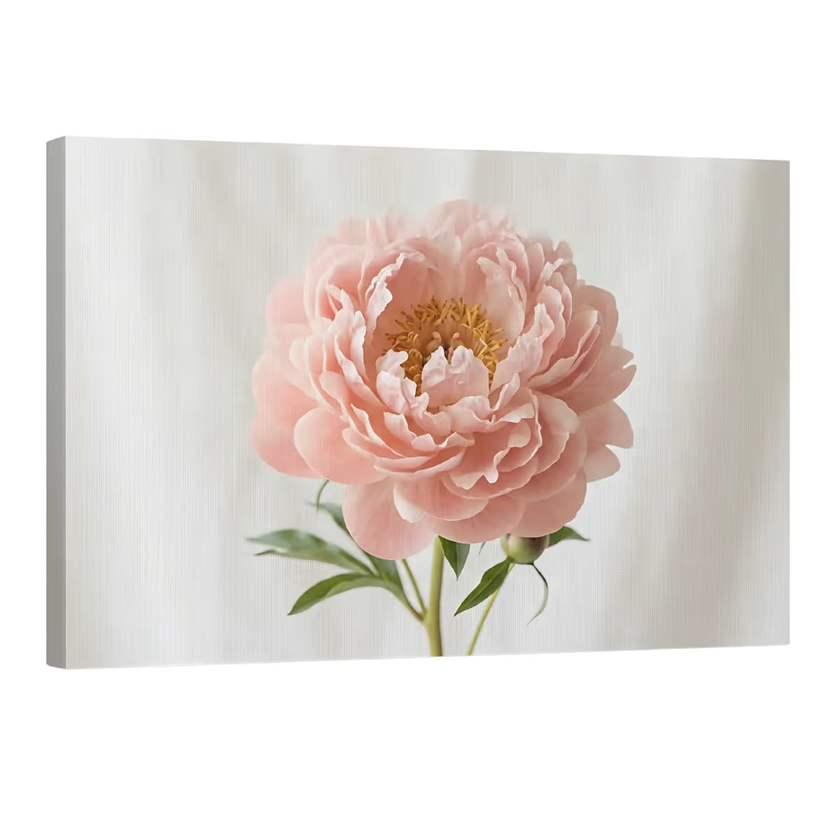 Blush Peony Canvas Wall Art Soft Pink Floral Print for Elegant & Modern Decor