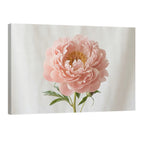Blush peony canvas wall art in soft pink tones, elegant floral decor for modern home