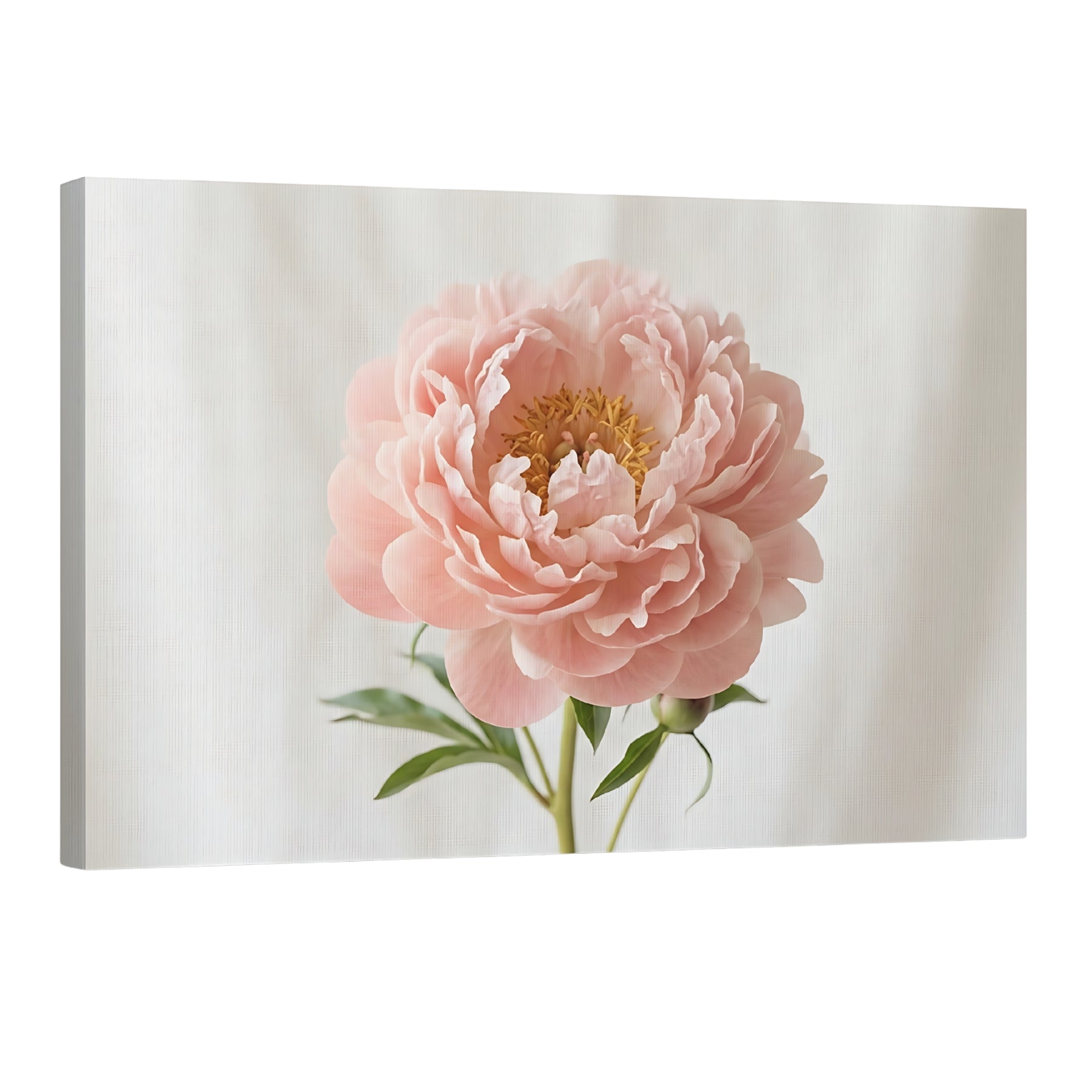 Blush peony canvas wall art in soft pink tones, elegant floral decor for modern home