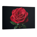 Elegant red rose canvas wall art on black background, minimalist floral print for modern home decor