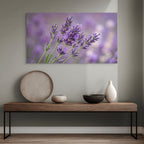 Soft focus lavender flowers canvas, spa inspired home decor