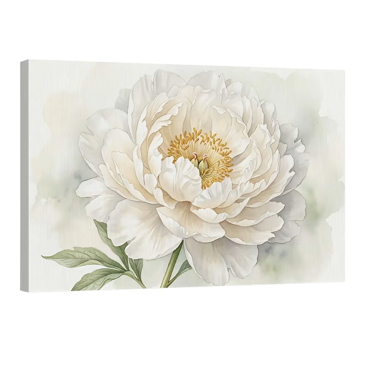 White Peony Canvas Wall Art Elegant Neutral Watercolor Floral Painting Main image