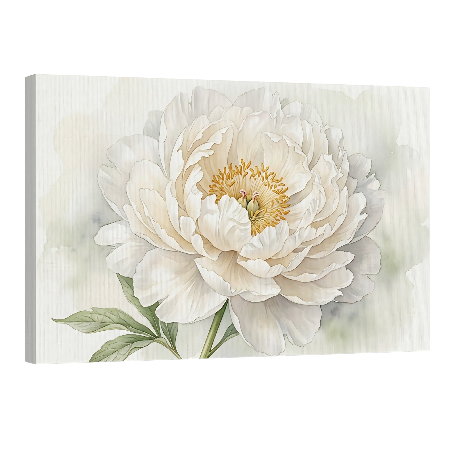 White peony watercolor wall art, neutral floral canvas decor for elegant home