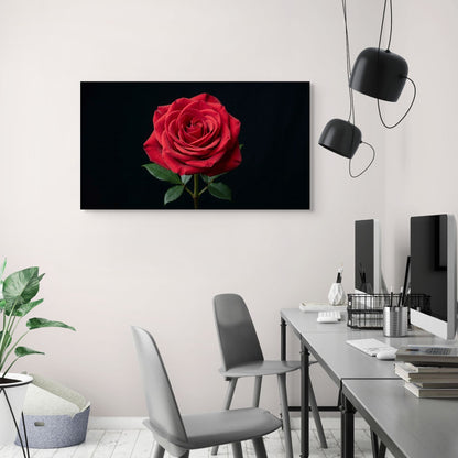 Minimalist red rose artwork with black background, elegant modern wall decor print