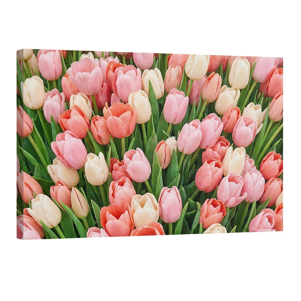 pink coral and white tulip field floral wall art spring flower pattern decor