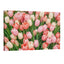 pink coral and white tulip field floral wall art spring flower pattern decor