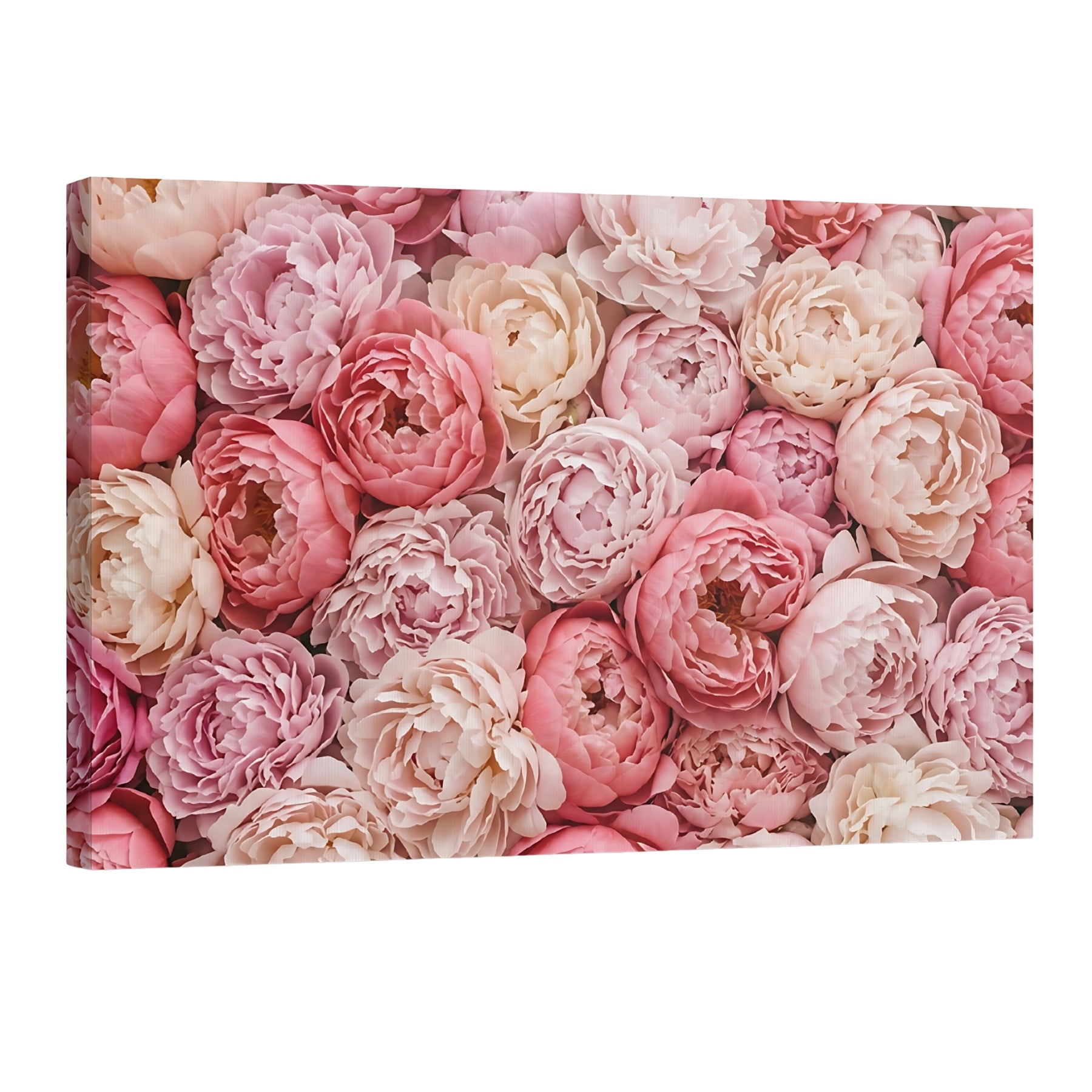 Pink Peony Canvas Wall Art with Flowers Romantic Floral Canvas Print Wall Decor Secondary image